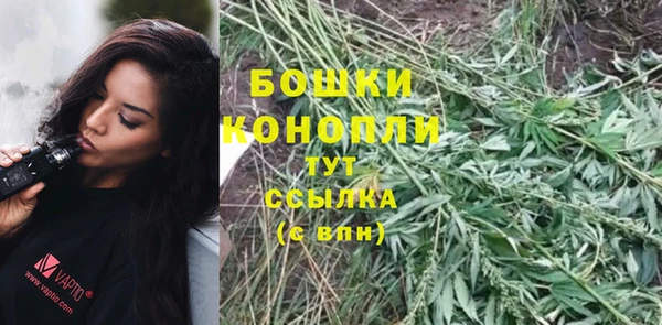 мдпв Корсаков