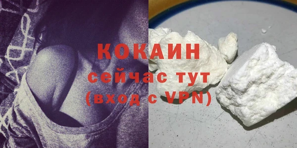 мдпв Корсаков
