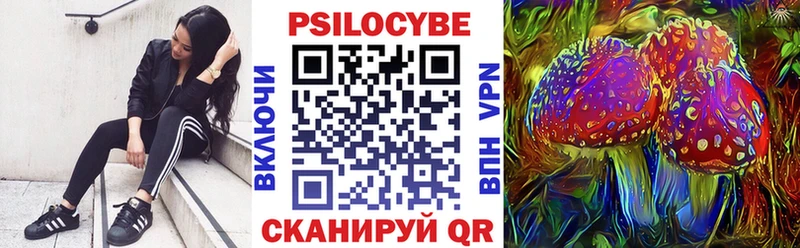Купить закладки  Ульяновск  Галлюциногенные грибы Psilocybe